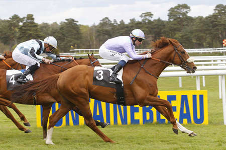 Actualités Hippiques